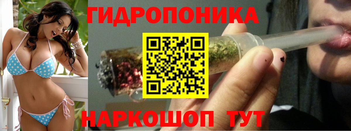 Бошки Шишки Amnesia Бугуруслан